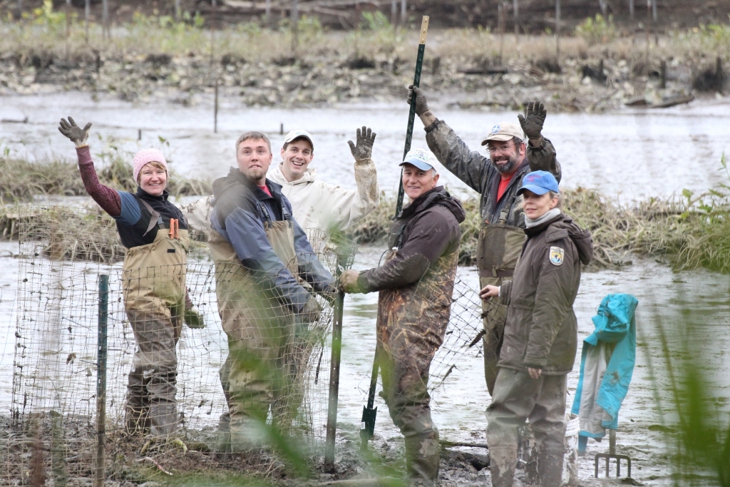 Photo 7 from RESTORE AMERICA'S ESTUARIES